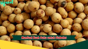 Manfaat Buah Duku untuk Diabetes