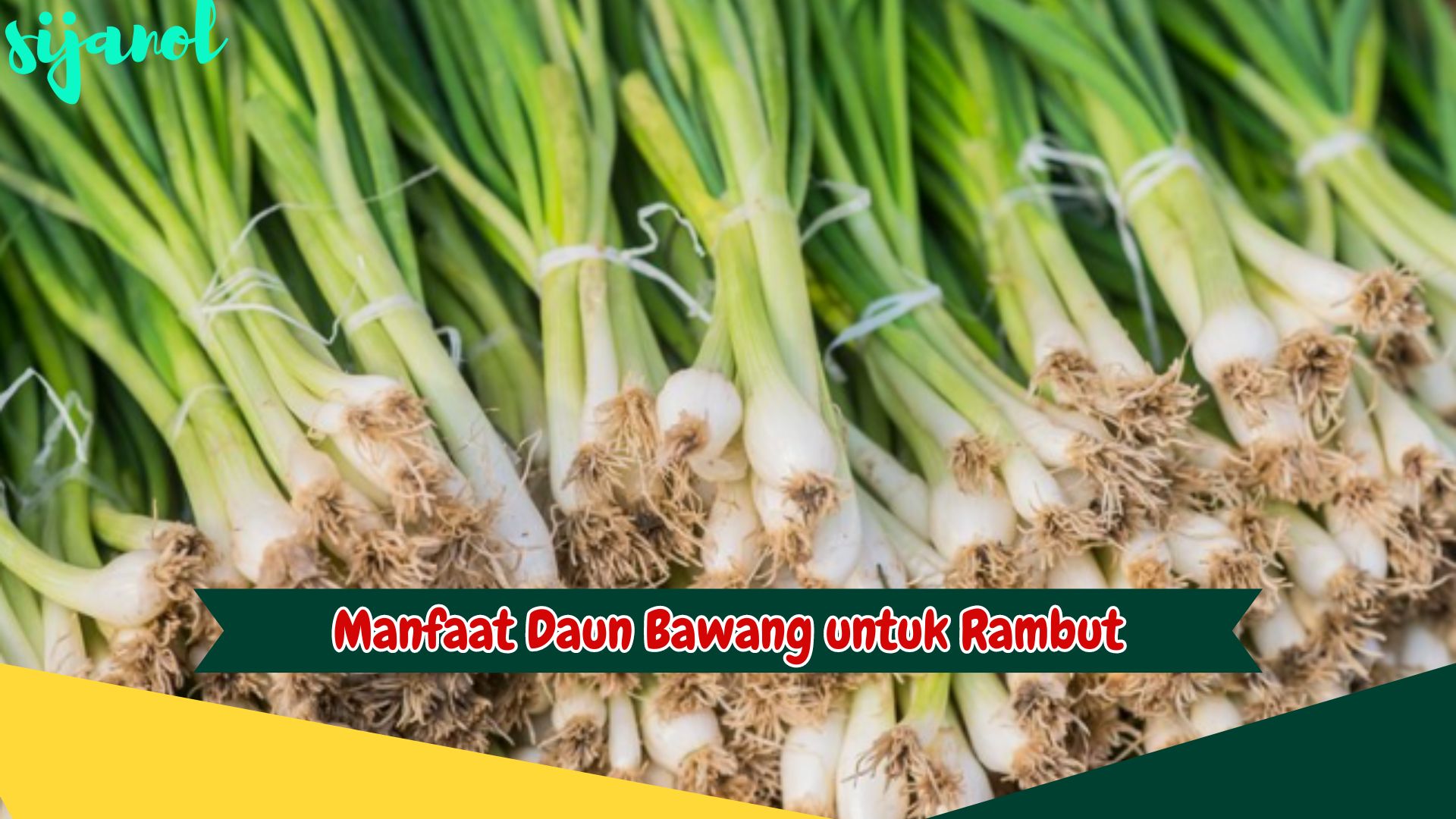 Manfaat Daun Bawang untuk Rambut