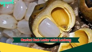 Manfaat Buah Lontar untuk Lambung