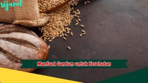 Manfaat Gandum untuk Kesehatan