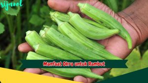 Manfaat Okra untuk Rambut