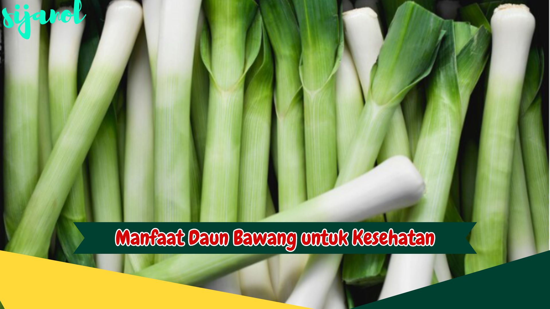 Manfaat Daun Bawang untuk Kesehatan