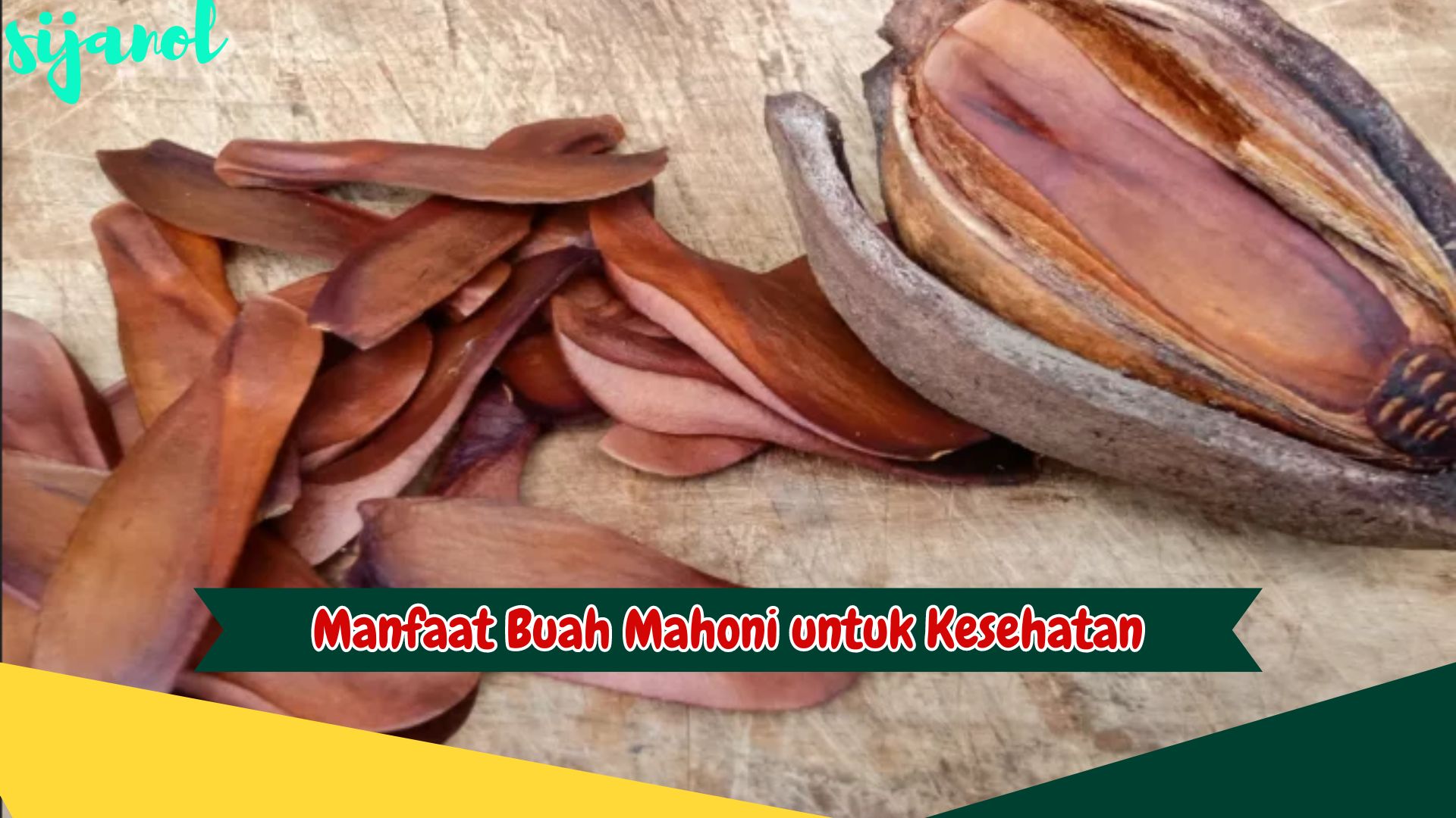 Jangan Lewatkan! Temukan 5 Manfaat Luar Biasa Buah Mahoni untuk ...