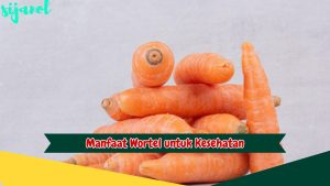 Manfaat Wortel untuk Kesehatan