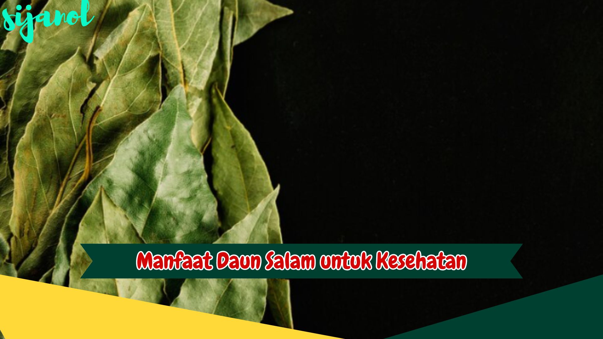 Manfaat Daun Salam untuk Kesehatan