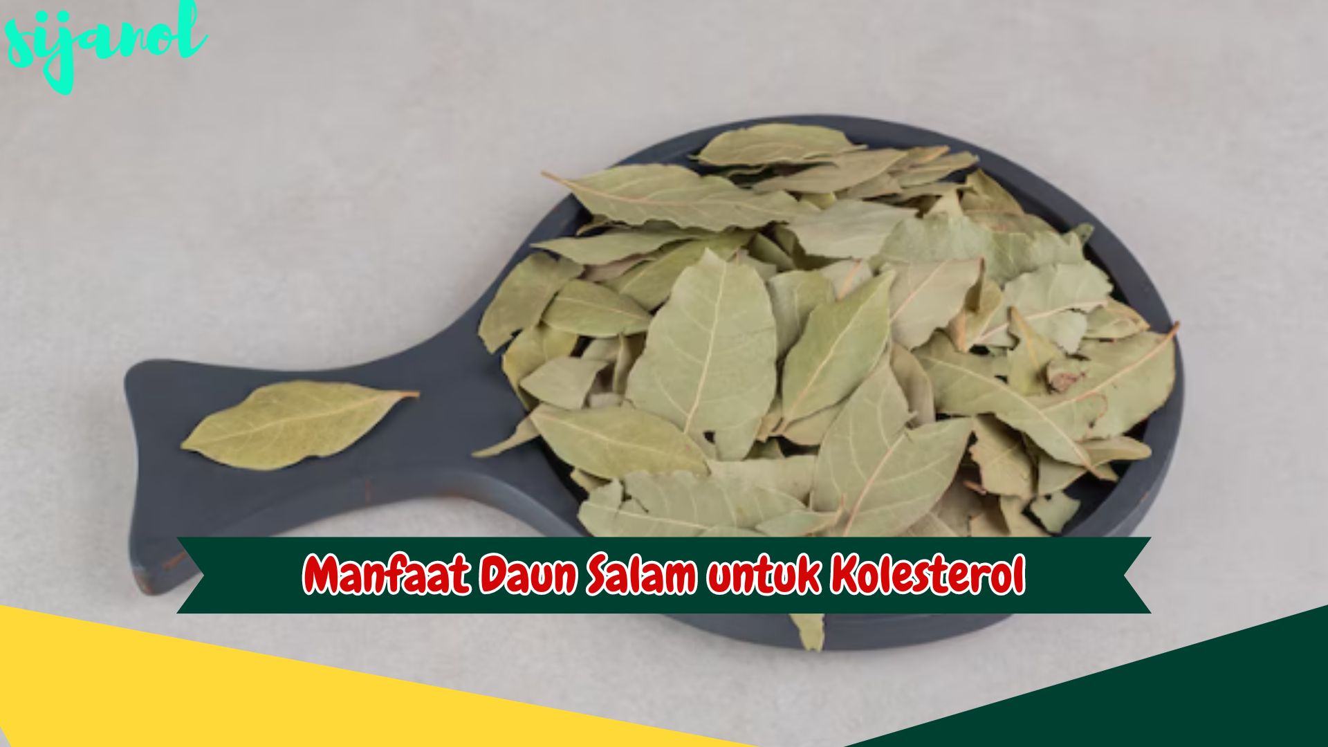 Manfaat Daun Salam untuk Kolesterol