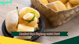 Manfaat Tape Singkong untuk Busui