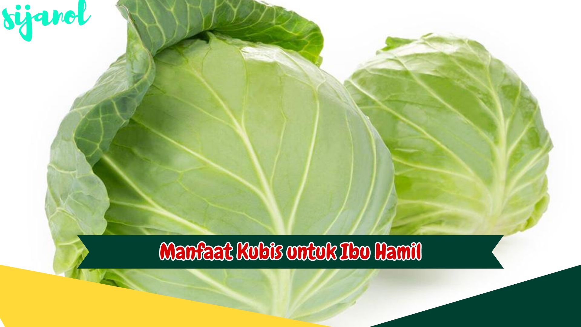 Manfaat Kubis untuk Ibu Hamil