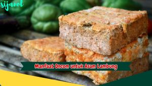 Manfaat Oncom untuk Asam Lambung