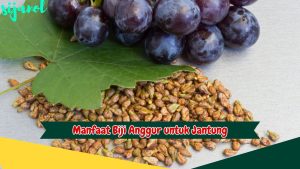 Manfaat Biji Anggur untuk Jantung