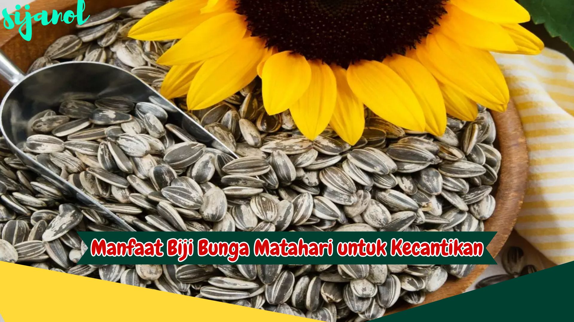 Manfaat Biji Bunga Matahari untuk Kecantikan