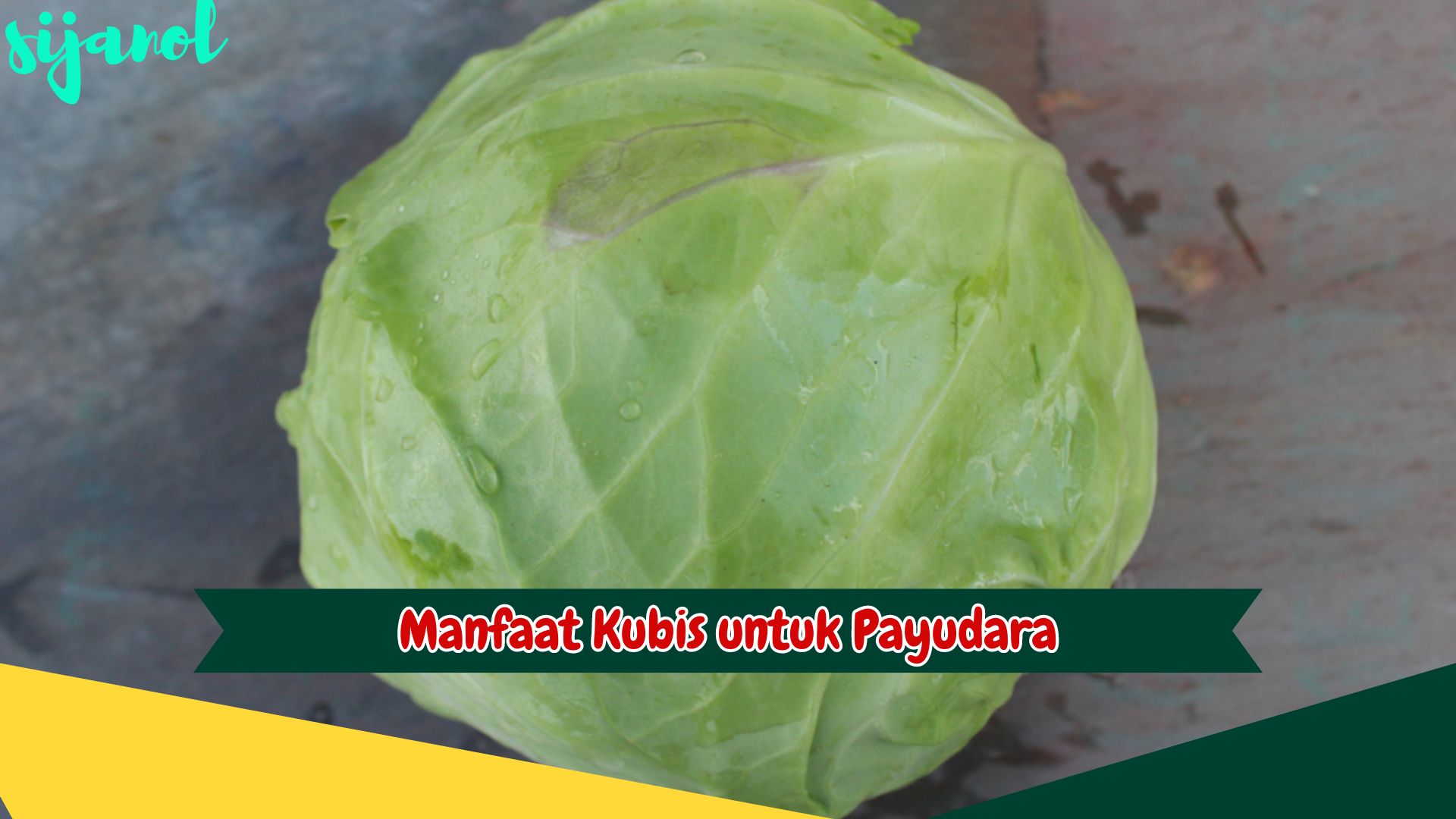 Manfaat Kubis untuk Payudara