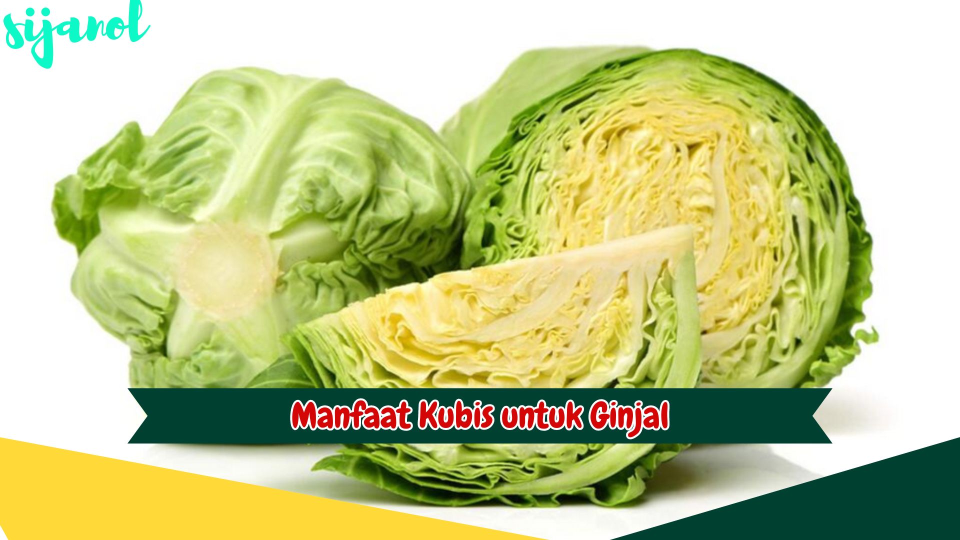 Manfaat Kubis untuk Ginjal