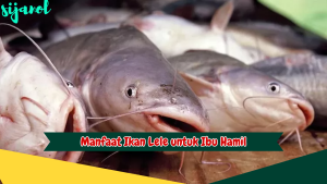 Manfaat Ikan Lele untuk Ibu Hamil