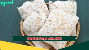 Manfaat Tempe untuk Diet