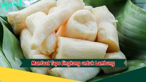 Manfaat Tape Singkong untuk Lambung