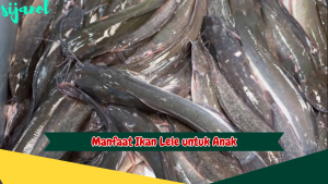 Manfaat Ikan Lele untuk Anak