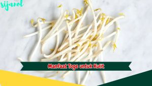 Manfaat Toge untuk Kulit