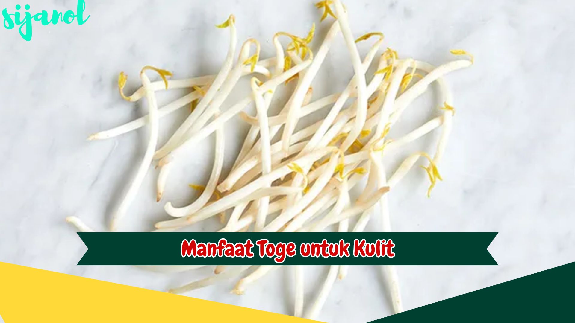 Manfaat Toge untuk Kulit