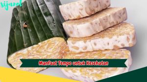 Manfaat tempe untuk Kesehatan