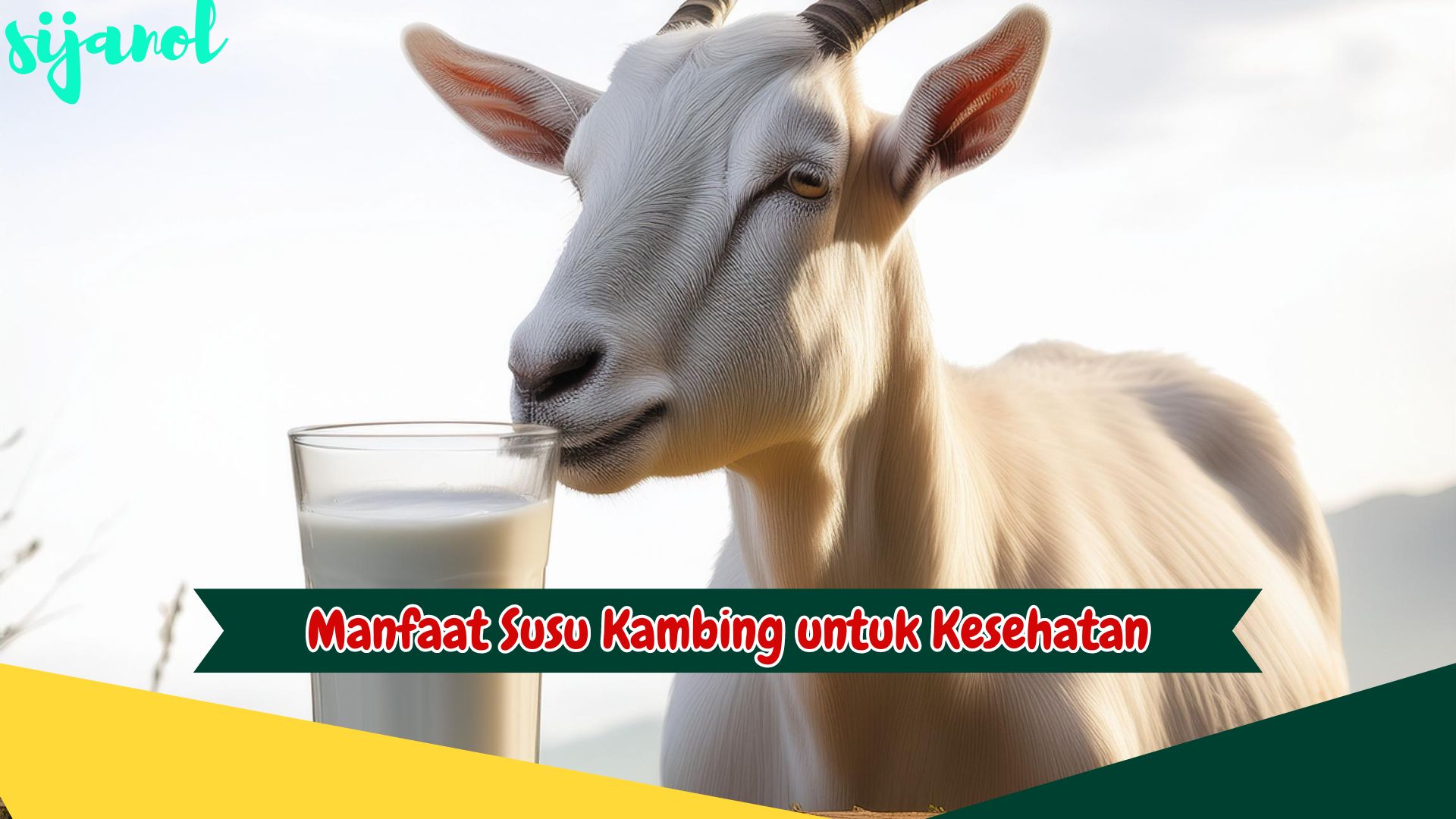 Manfaat susu kambing untuk kesehatan