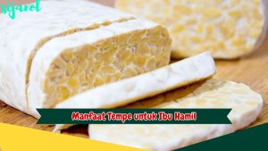 Manfaat Tempe untuk Ibu Hamil