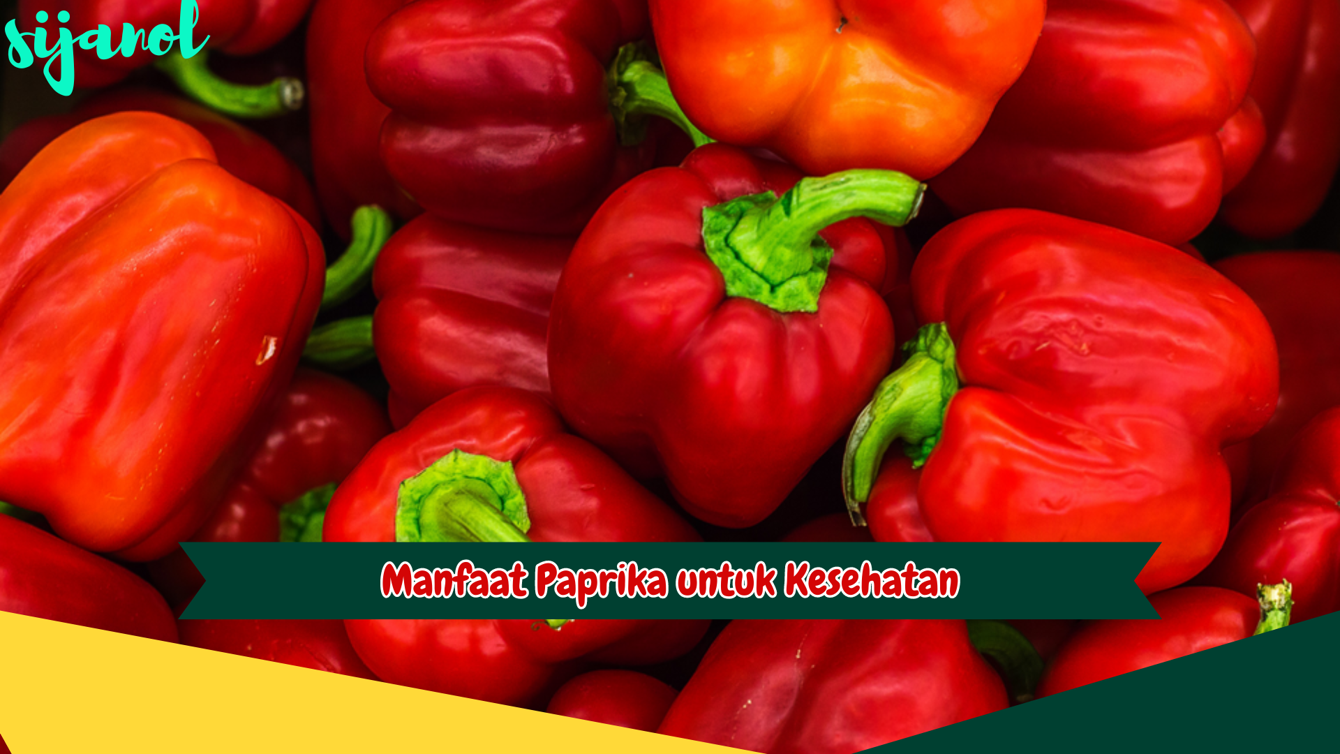 Manfaat Paprika untuk Kesehatan