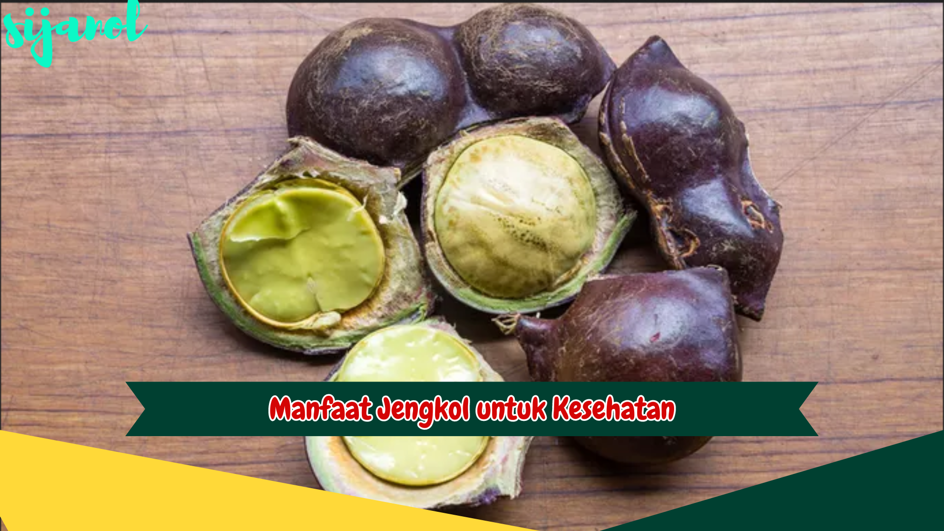 Manfaat Jengkol untuk Kesehatan