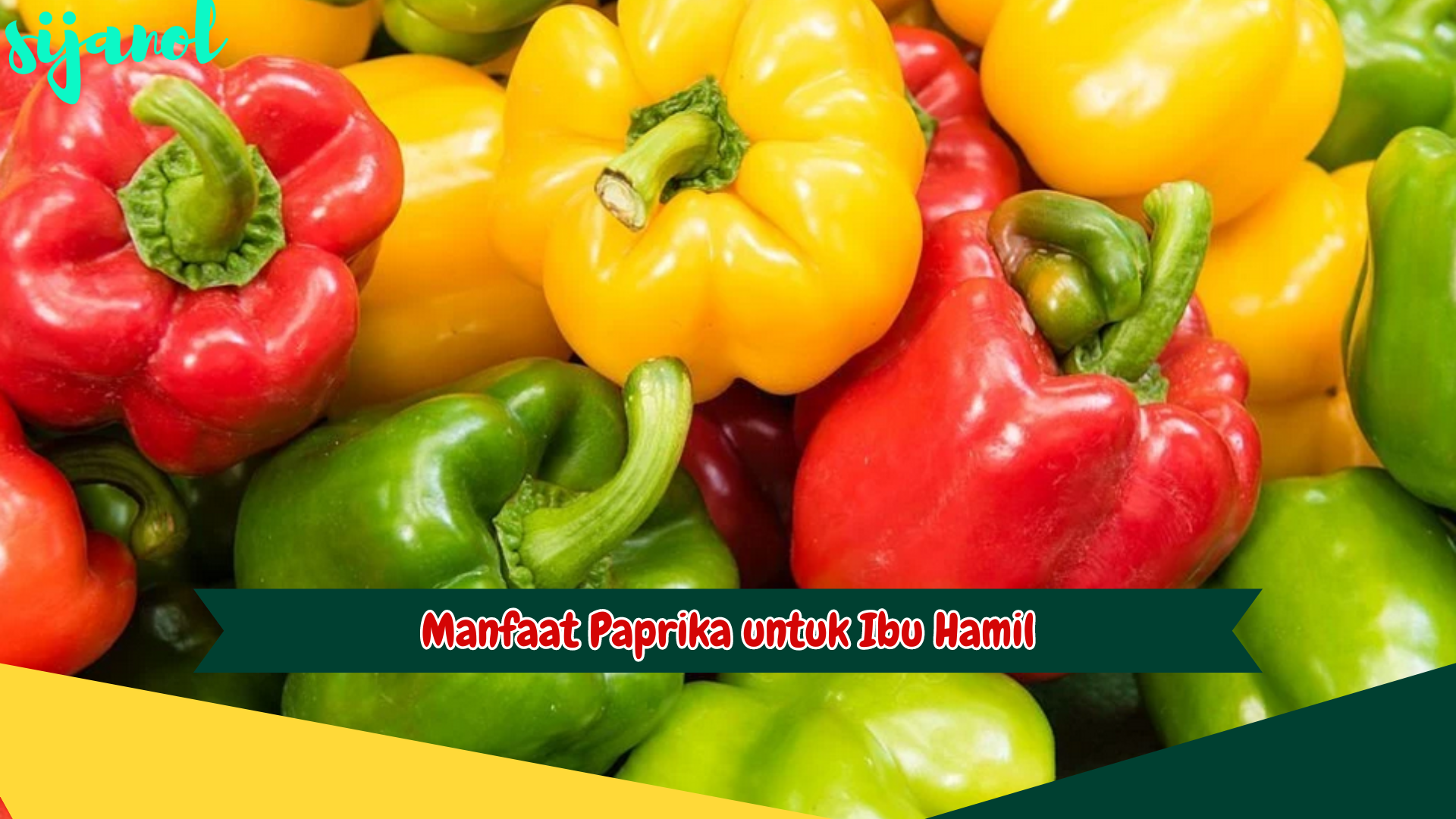 Manfaat Paprika untuk Ibu Hamil