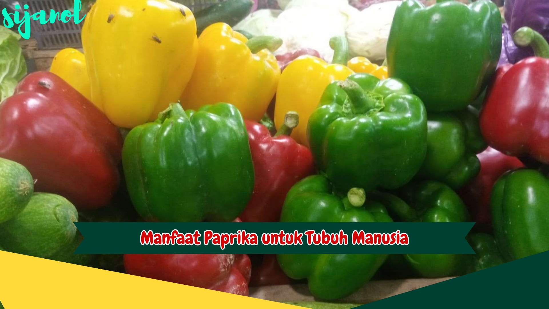 Manfaat Paprika untuk Tubuh Manusia