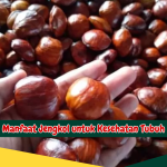 Manfaat Jengkol untuk Kesehatan Tubuh