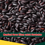 Manfaat Beras Hitam untuk Kesehatan