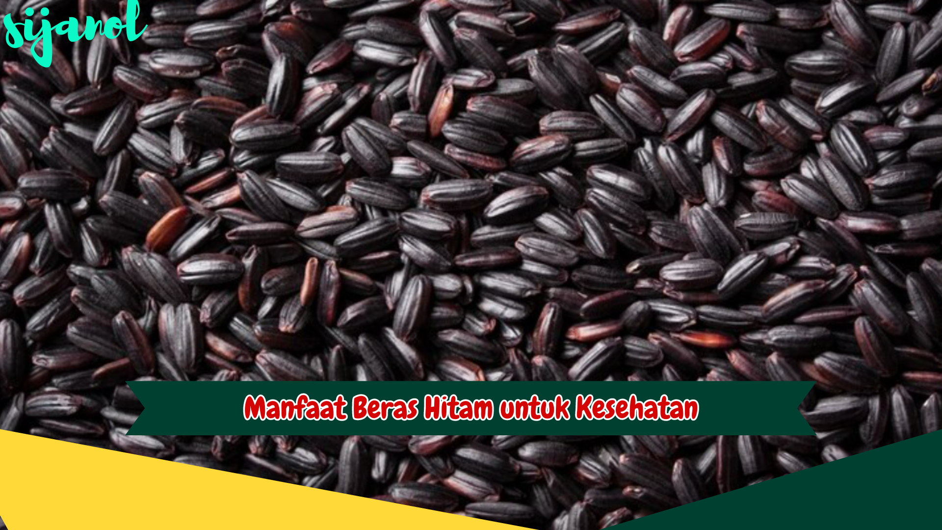 Manfaat Beras Hitam untuk Kesehatan