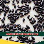 Manfaat Beras Hitam untuk Ginjal