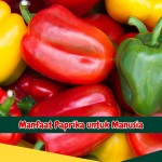 Manfaat Paprika untuk Manusia