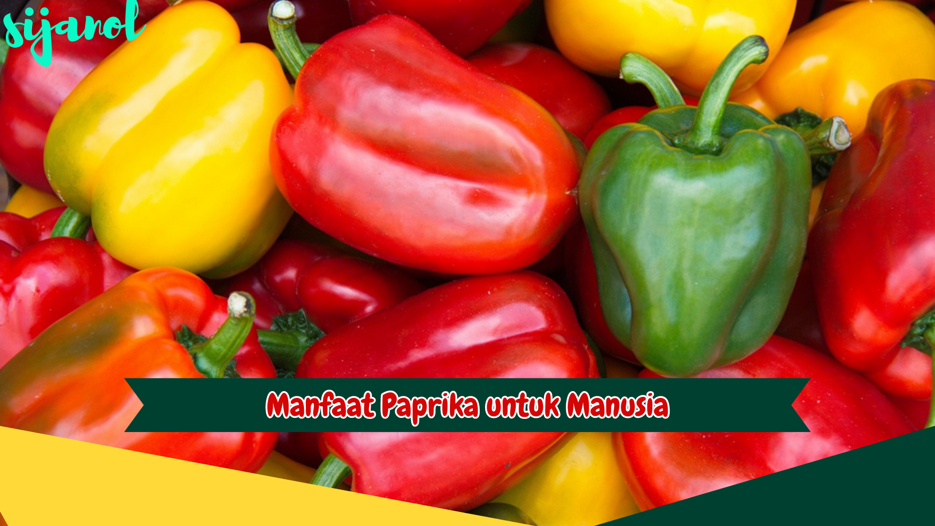 Manfaat Paprika untuk Manusia