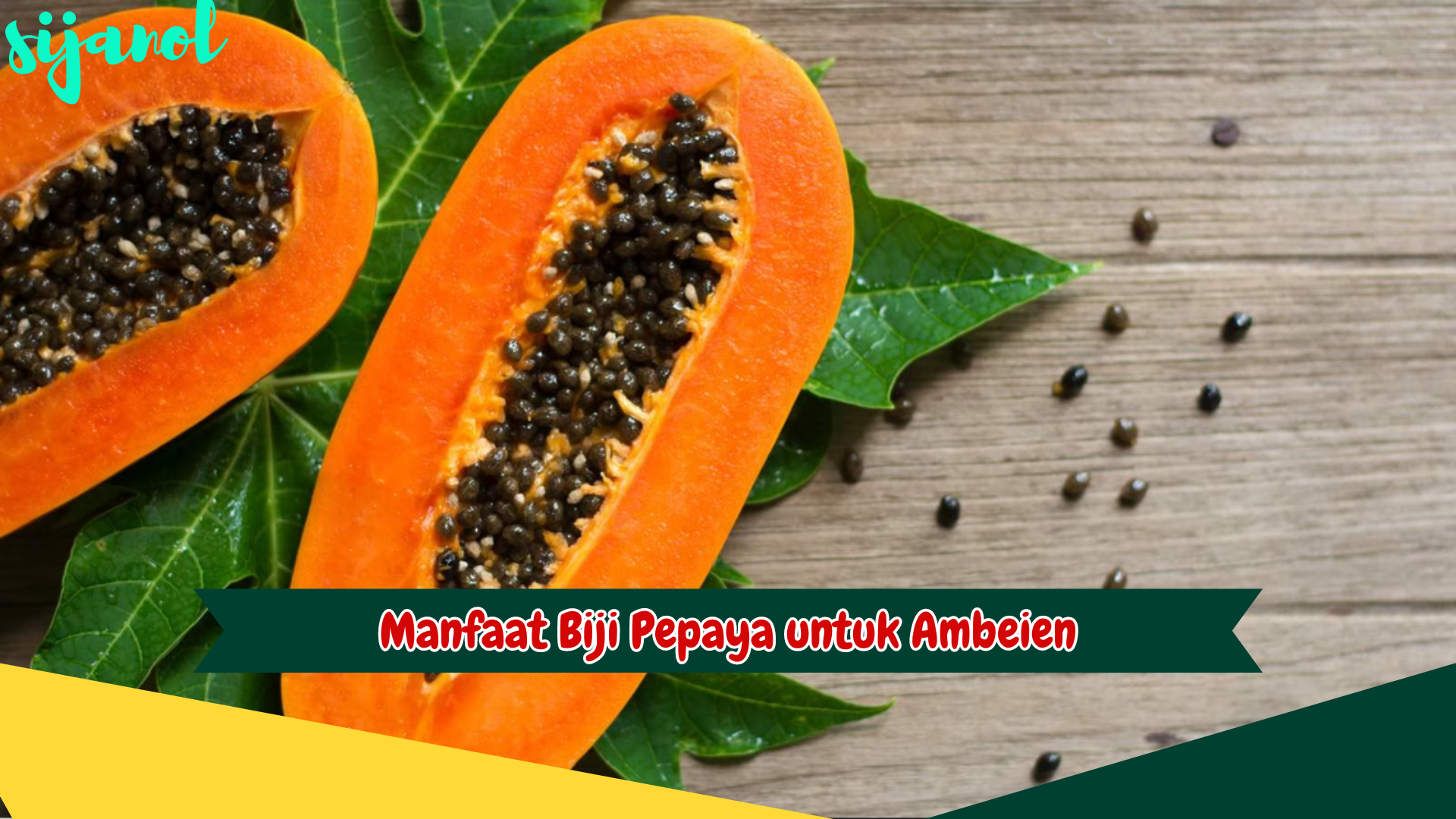 manfaat biji pepaya untuk ambeien