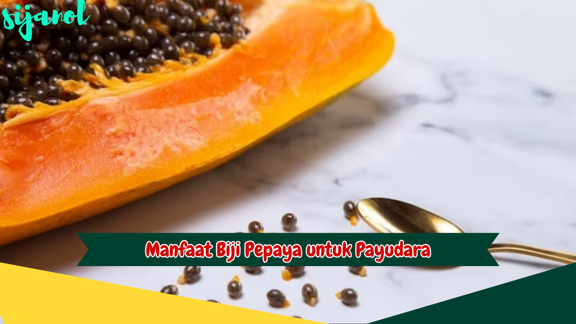 Manfaat Biji Pepaya untuk Payudara