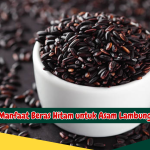 Manfaat Beras Hitam untuk Asam Lambung