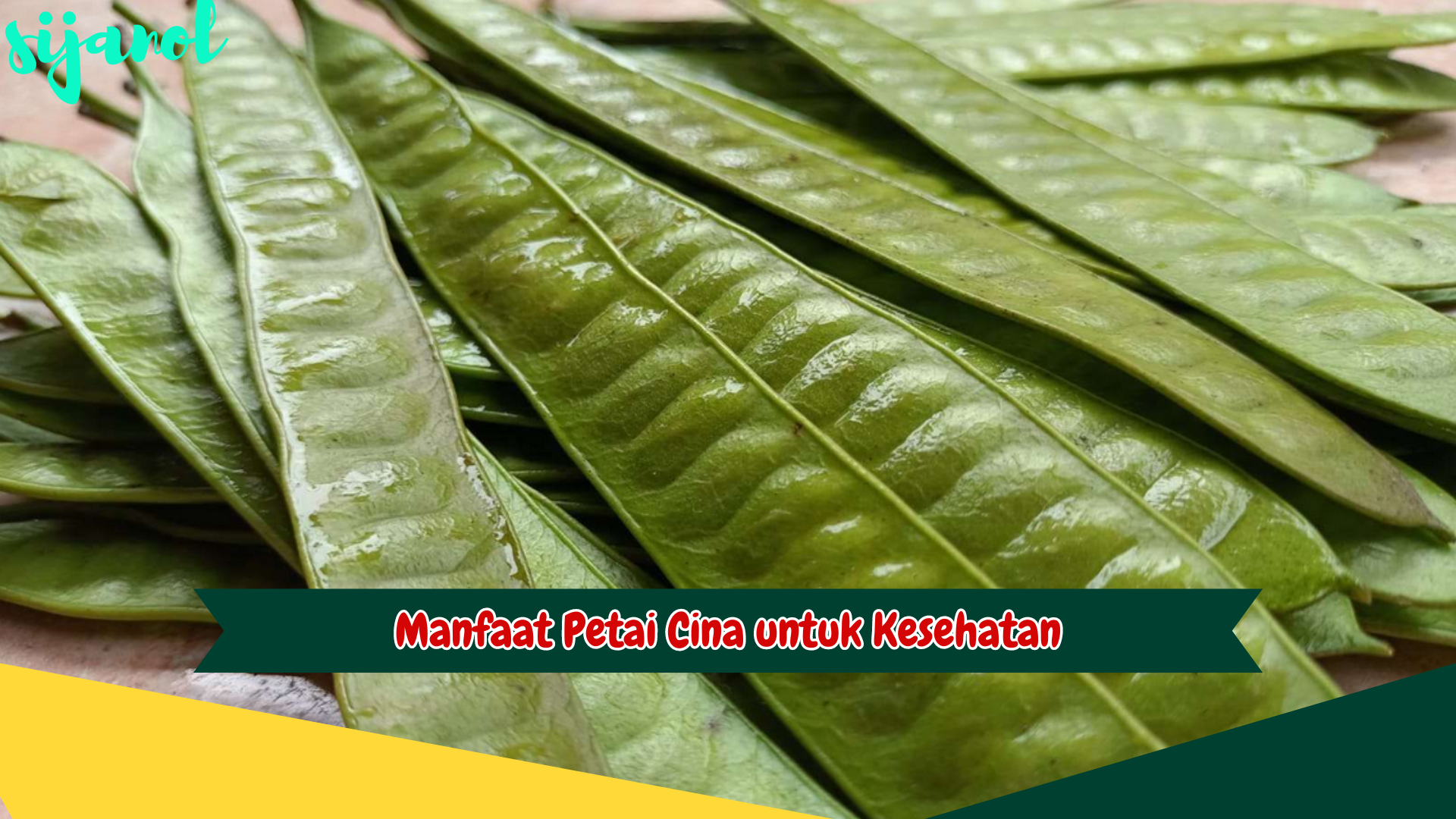 Manfaat Petai Cina untuk Kesehatan