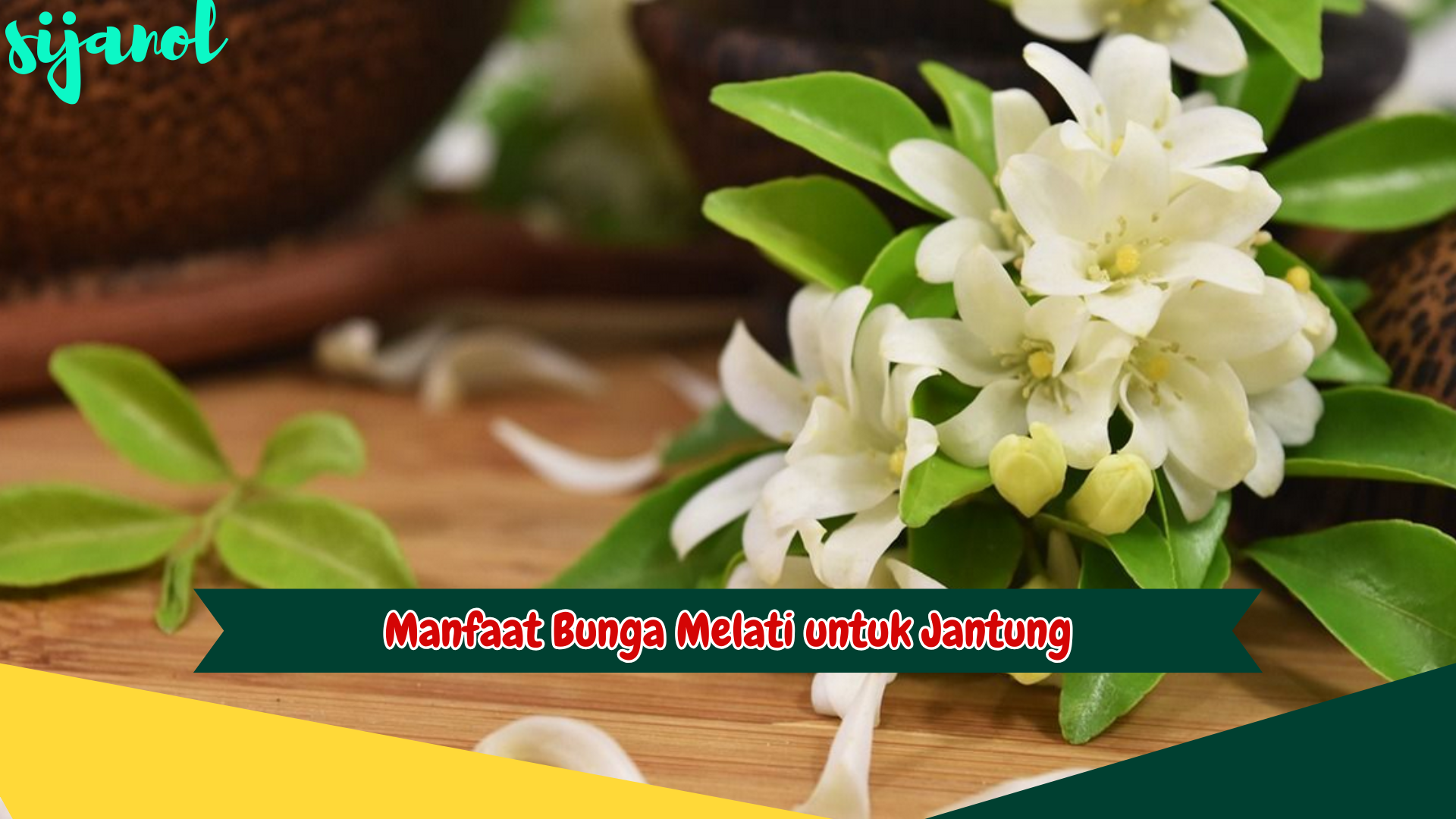 Manfaat Bunga Melati untuk Jantung