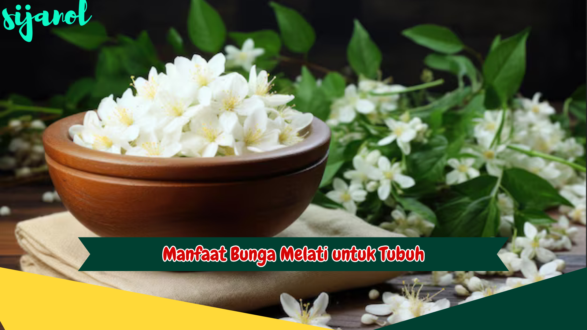 Manfaat Bunga Melati untuk Tubuh